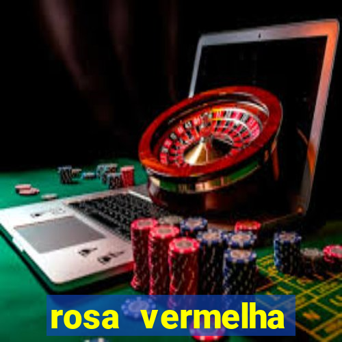 rosa vermelha (letra e cifra)